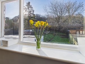 Photo 33- click for photo gallery